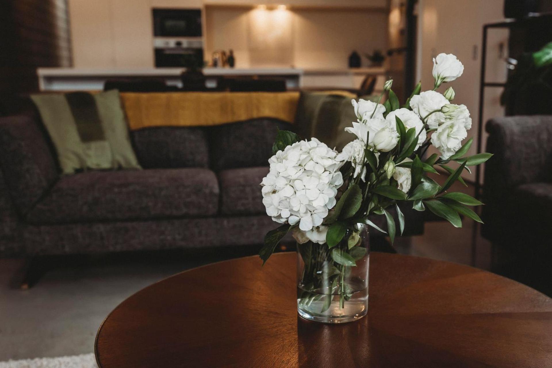 Perfect On Powderham Prime Inner City Location New Plymouth Ngoại thất bức ảnh